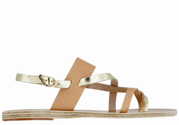 Sandales Bride Arrière Ancient Greek Sandals Alethea Leather   | HEU-3624129